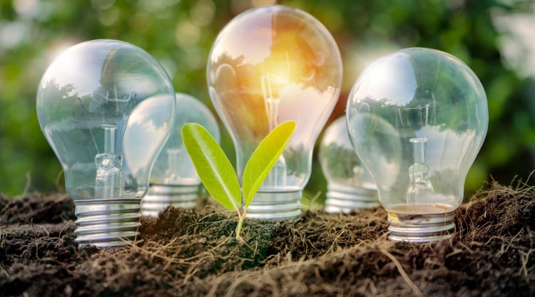 Environmental Science: The Role of Renewable Energy in Combating Climate Change